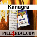 Kanagra 352