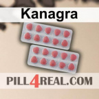 Kanagra 368