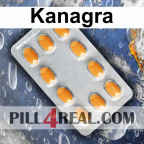 Kanagra 394