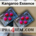 Kangaroo Essence 113
