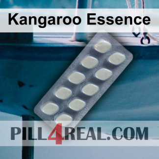 Kangaroo Essence 188
