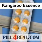 Kangaroo Essence 193