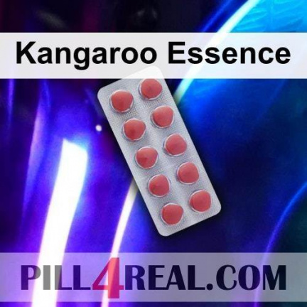 Kangaroo Essence 201