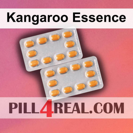 Kangaroo Essence 238