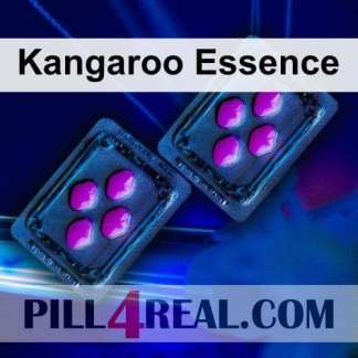 Kangaroo Essence 269