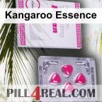 Kangaroo Essence 391