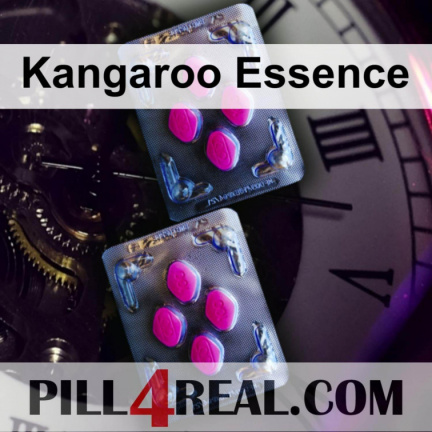 Kangaroo Essence 421