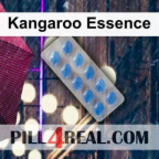 Kangaroo Essence 439