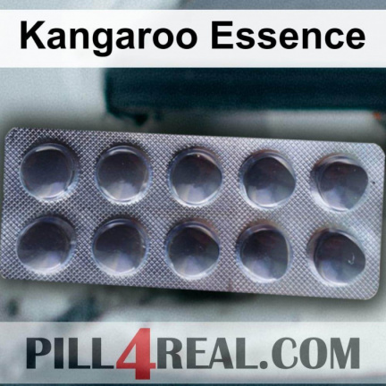 Kangaroo Essence 481