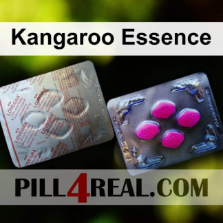 Kangaroo Essence 553