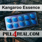Kangaroo Essence 567