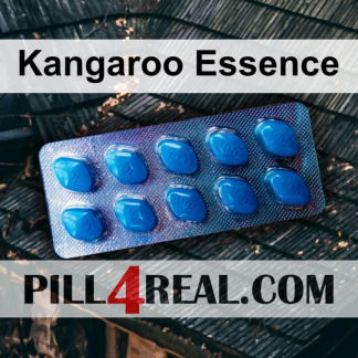 Kangaroo Essence 567