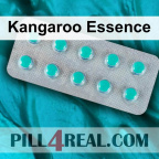 Kangaroo Essence 586
