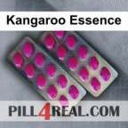 Kangaroo Essence 588