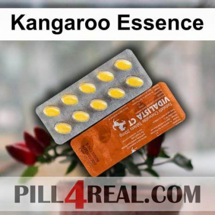 Kangaroo Essence 700
