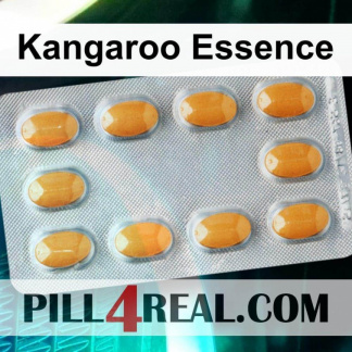 Kangaroo Essence 901