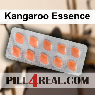 Kangaroo Essence 929