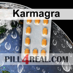 Karmagra 665