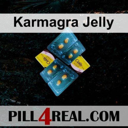 Karmagra Jelly 291