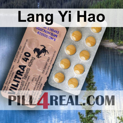 Lang Yi Hao 017