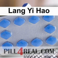 Lang Yi Hao 149