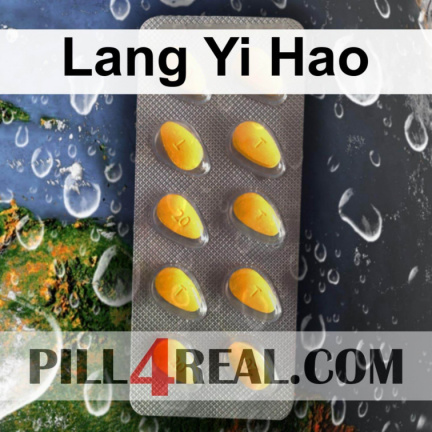 Lang Yi Hao 255