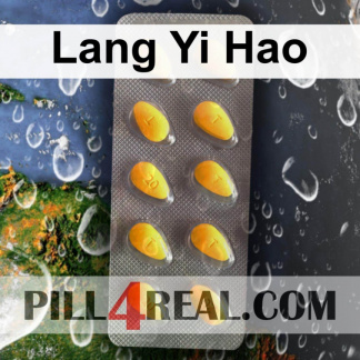 Lang Yi Hao 255