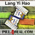 Lang Yi Hao 312