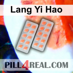 Lang Yi Hao 338