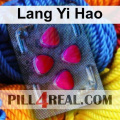Lang Yi Hao 441