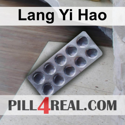Lang Yi Hao 572