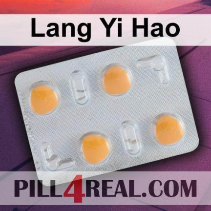 Lang Yi Hao 583