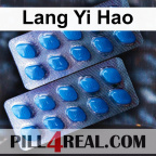 Lang Yi Hao 684