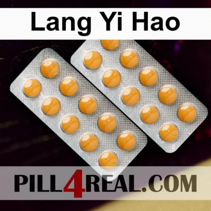 Lang Yi Hao 685