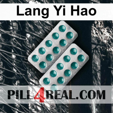 Lang Yi Hao 703