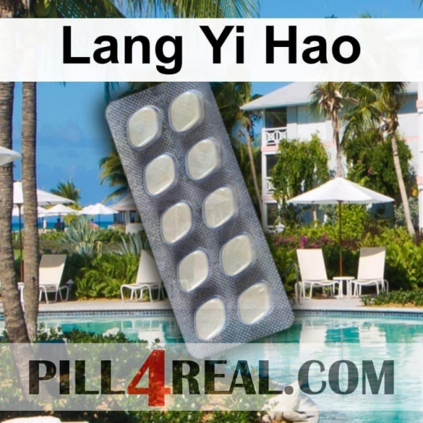 Lang_Yi_Hao_710.jpg