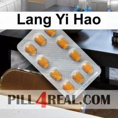 Lang Yi Hao 848