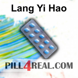 Lang Yi Hao 895