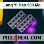 Lang Yi Hao 500 Mg 192