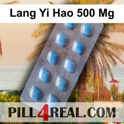 Lang Yi Hao 500 Mg 874