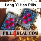 Lang Yi Hao Pills 510