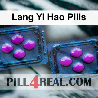 Lang Yi Hao Pills 529