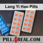 Lang Yi Hao Pills 881