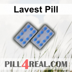 Lavest Pill 883
