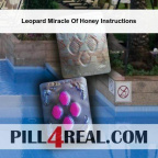 Leopard Miracle Of Honey Instructions 015