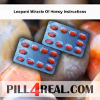 Leopard Miracle Of Honey Instructions 032