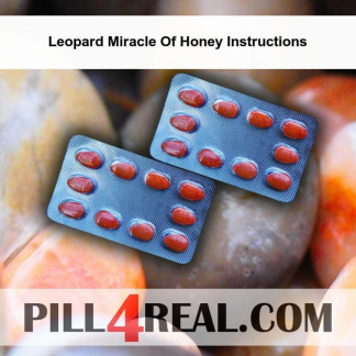 Leopard Miracle Of Honey Instructions 032