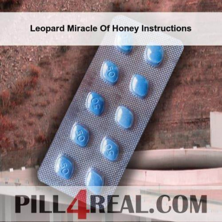 Leopard Miracle Of Honey Instructions 091