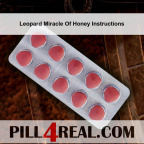 Leopard Miracle Of Honey Instructions 291