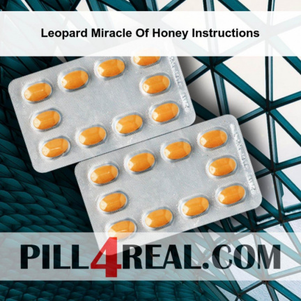 Leopard Miracle Of Honey Instructions 344